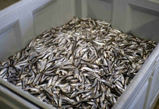 Kolumbija LTD tiesiskās aizsardzības procesa lietā izbeigta tiesvedība