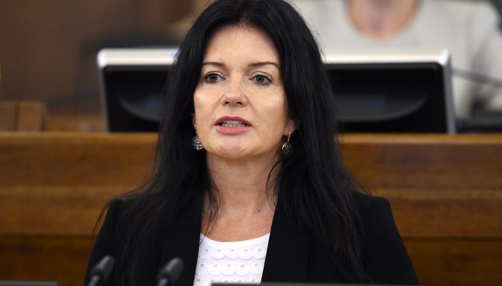 VID saņēmis ziņojumus par pārkāpumiem labklājības ministres kandidātes Petravičas vīra uzņēmumā Monēta