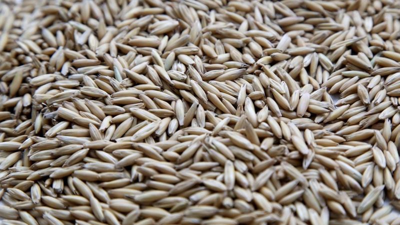 Rīgas Dzirnavnieka īpašnieks Baltijas ražotņu stiprināšanai investēs aptuveni 10 miljonus eiro