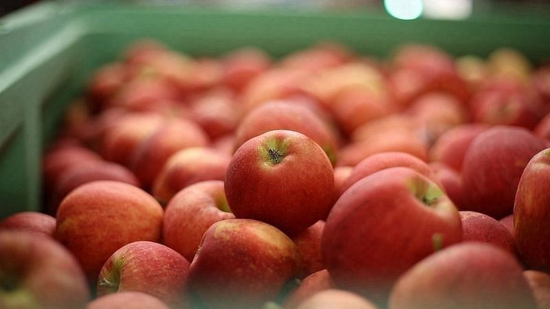 Kooperatīvi: Nepieciešams pārskatīt un sakārtot zaļā publiskā iepirkuma jautājumus