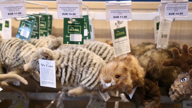 Pet City: liekam zemu uzcenojumu un pieradinām