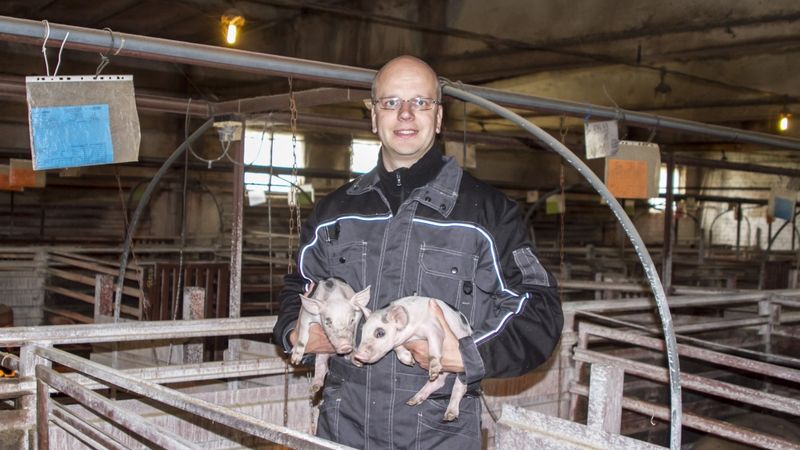 Miķelāni bekons uzsāk cūku barības ražošanu