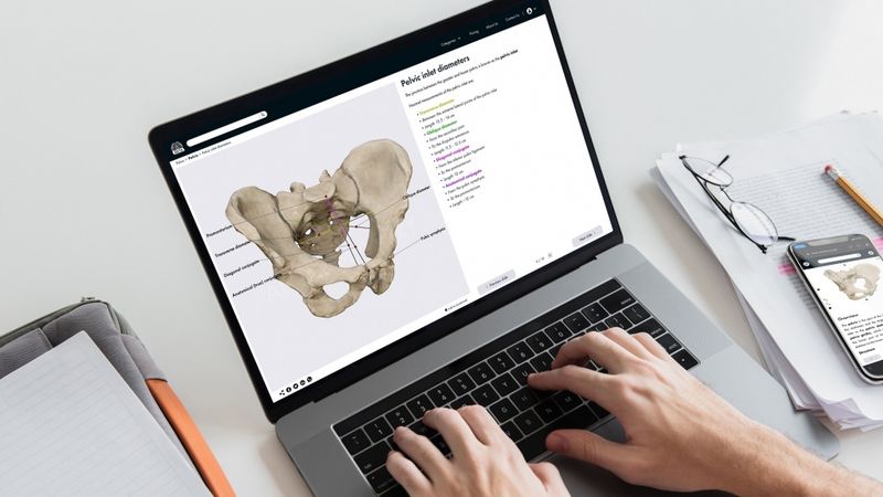 Anatomy Next radījis tiešsaistes platformu anatomijas apgūšanai