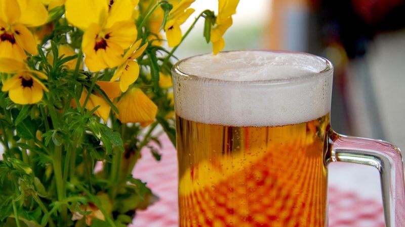 Cido Grupa Latvijā ražos tikai craft un ekskluzīvo alu