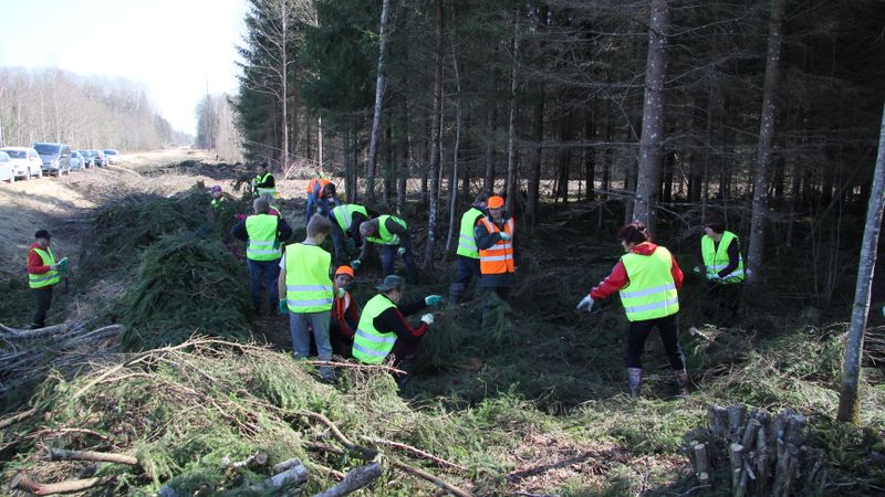 Izveidotas 400 mākslīgās zivju nārsta ligzdas raudām un brekšiem