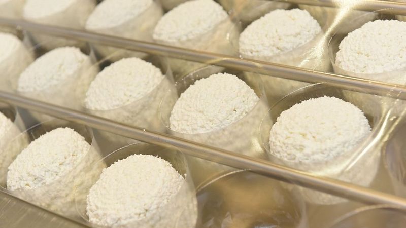 Mainoties akcionāram, Jaunpils pienotavas apgrozījums pieaudzis par 19,3%