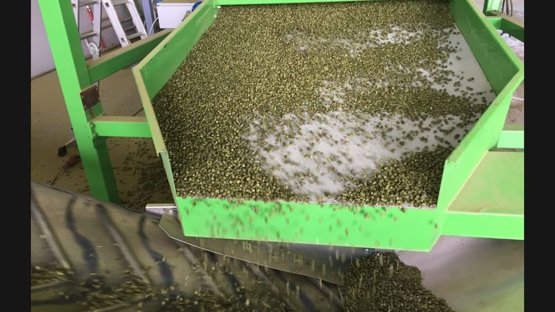 Investējot 4,5 miljonus eiro, Dobelē uzbūvēta lucernas granulu rūpnīca