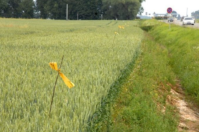 Optiskā kabeļa guldīšanai jārok zeme labības laukā