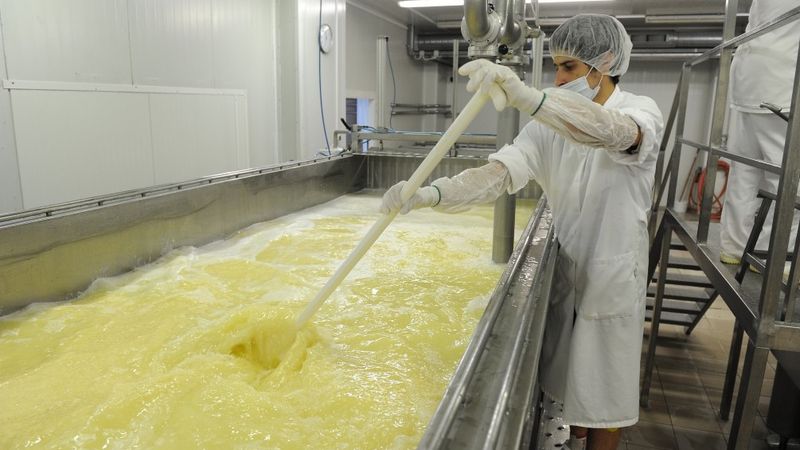 Cesvaines piens turpina eksportēt produkciju uz Ukrainu; meklē arī jaunus tirgus