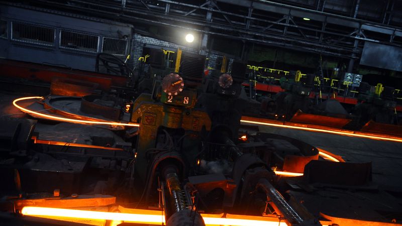 Pavļuts: To, kas notiks ar Liepājas metalurgu, nevar pateikt neviens