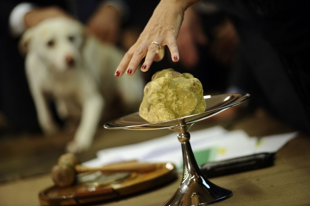 Foto: AFP/Scanpix