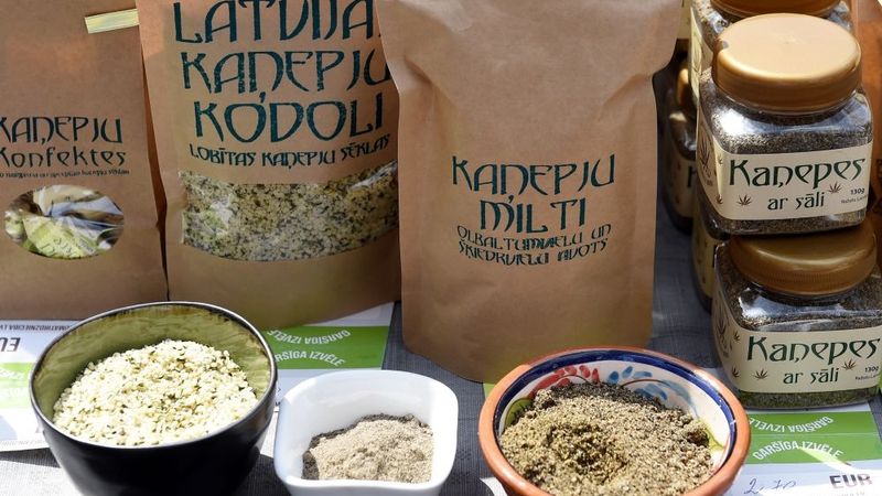 Sējas kaņepju audzēšanas apjomi gan Latvijā, gan Eiropā turpina strauji augt