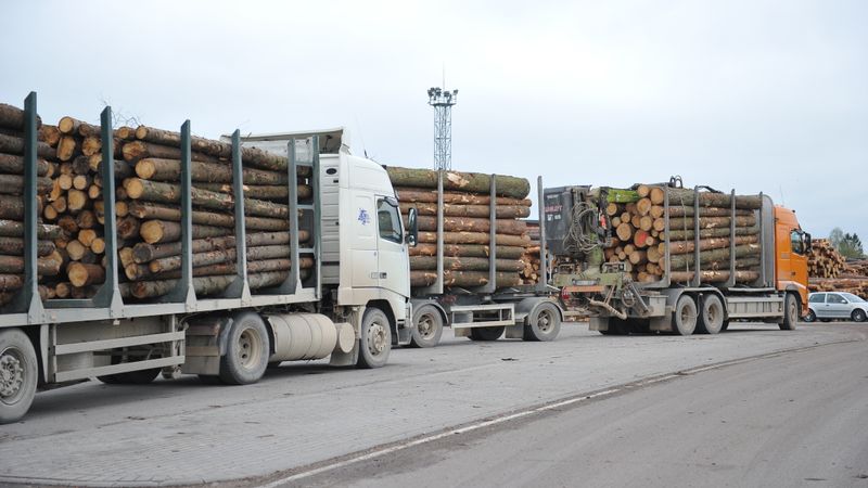 Kā top?: Zāģmateriāli uzņēmumā Vika Wood