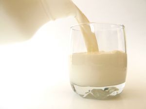 Lielbritānijā pārdots klonētas govs pēcnācējas piens
