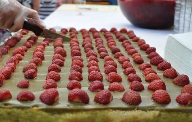 Jelgavas novada svētkos prezentēts jauns kultūrprodukts
