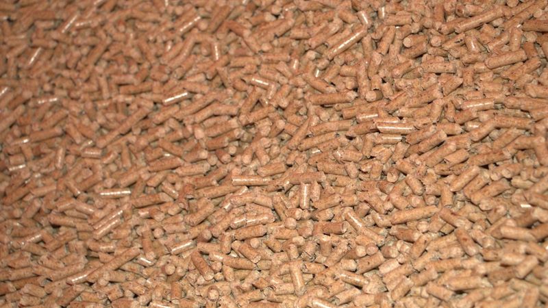 Industriālo koksnes granulu cenas pieaugušas divkārt