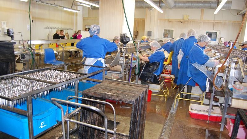Kolumbija daļu ēkas pārveidos par zivju konservu ražošanas cehu