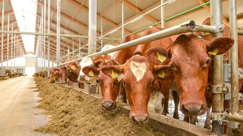 FOTO:  Saldus Druva saimniecības attīstībā investē 3,3 miljonus eiro