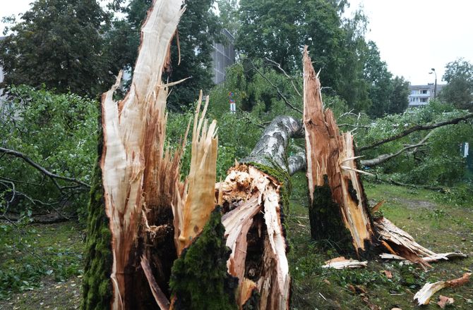 Trīs dienas pēc vētras bez elektrības Latvijā vēl aptuveni 11 000 klientu