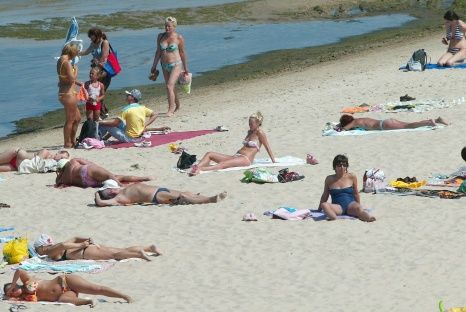 Vitālijs Stīpnieks, Dienas Mediji
