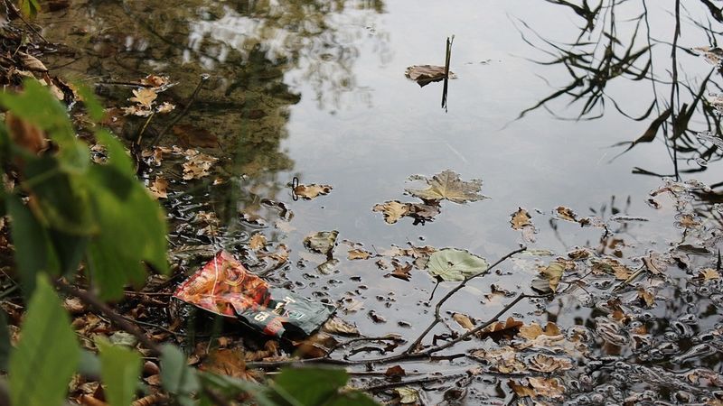 Mikroplastmasa arī Langstiņu ezerā