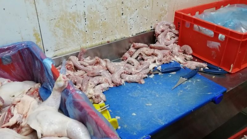 FOTO: Nelegālā putnu gaļas sadales uzņēmumā tapusi produkcija Rīgas Centrāltirgum