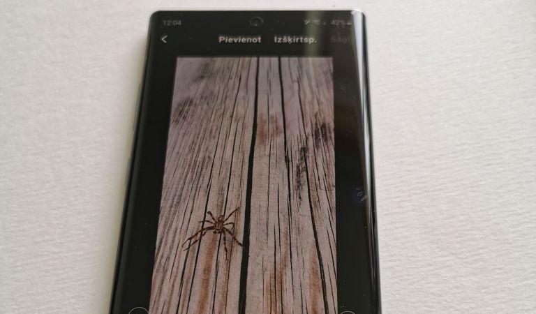 FOTO; VIDEO: Māj ar irbuli kā ar burvju nūjiņu