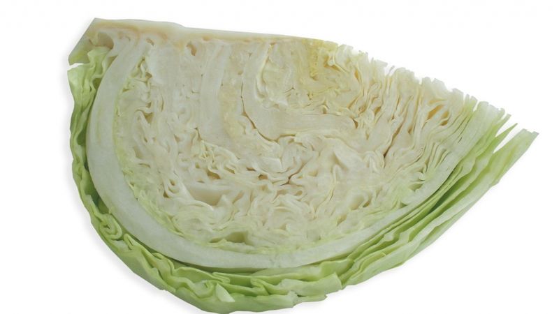 Atceļ Dimdiņi Agro iepriekš piemēroto nodrošinājumu