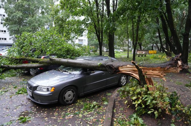 Apdrošinātājiem pieteiktie zaudējumi potenciāli varētu sasniegt 2024. gada vētras apmēru