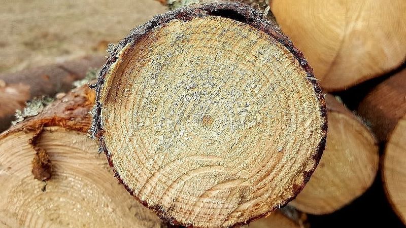 Ražotāju cenu līmenis gada laikā palielinājies par 1,4%