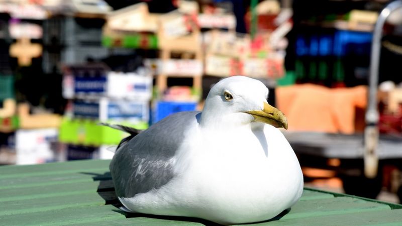 Lieldienu brīvdienās gaidāmi pat +22 grādi