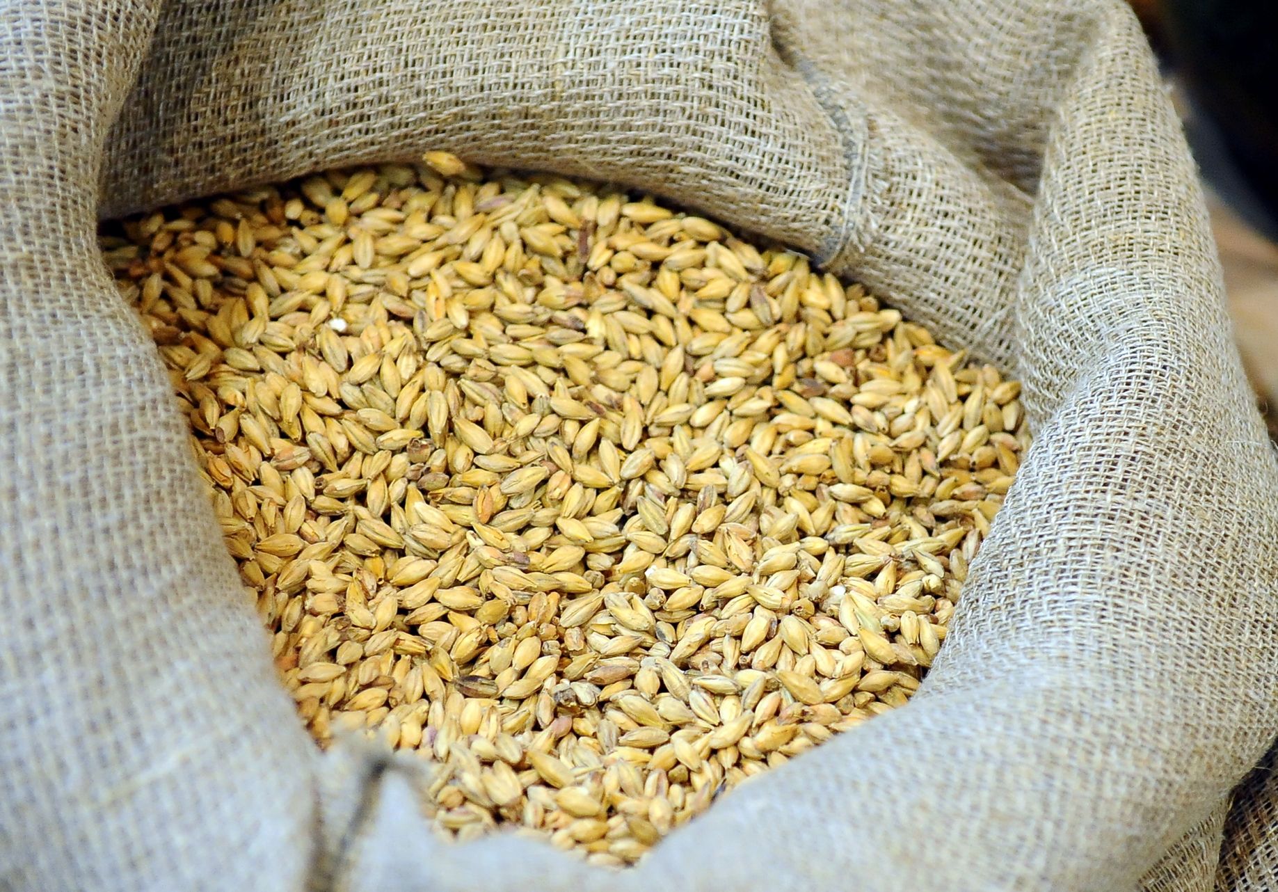 Foto: LETA