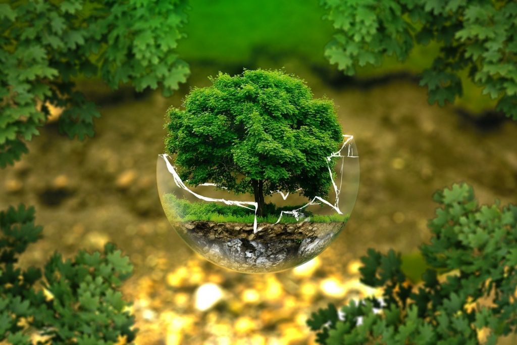 Foto: pixabay.com