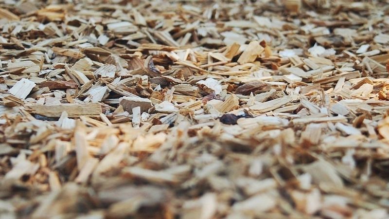 Paaugstinātas birokrātiskās prasības biokurināmajiem
