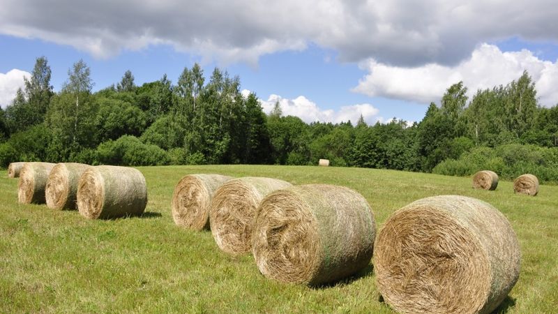 Investīcijas lauku tūrismā