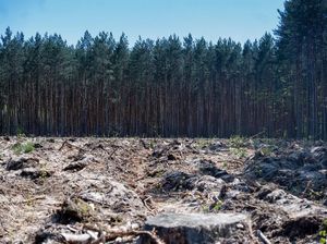 ES atliek Atmežošanas regulas piemērošanu vēl par vienu gadu