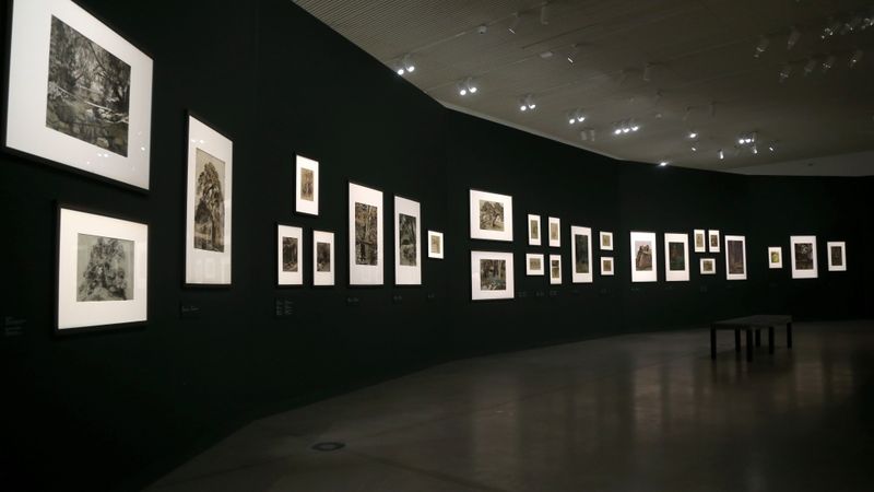 Lai muzeji atgrieztos pirmskrīzes stāvoklī, būs nepieciešami vairāki gadi