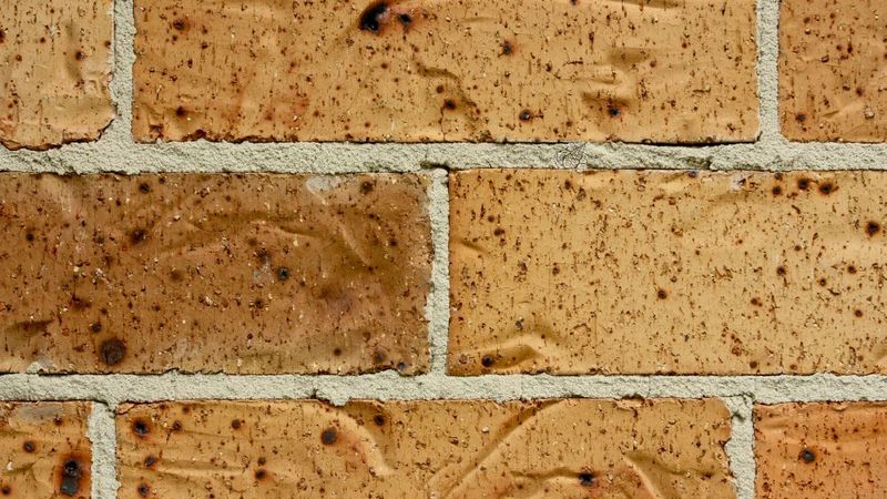 LEC: šogad pieaugs būvniecības izmaksas