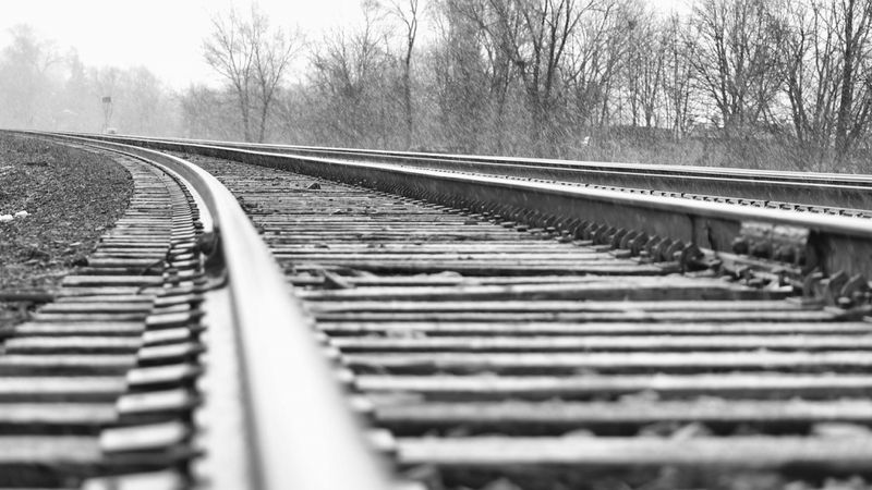 Plānot apvienot LDz Cargo, LDz ritošā sastāva serviss un LDz loģistika