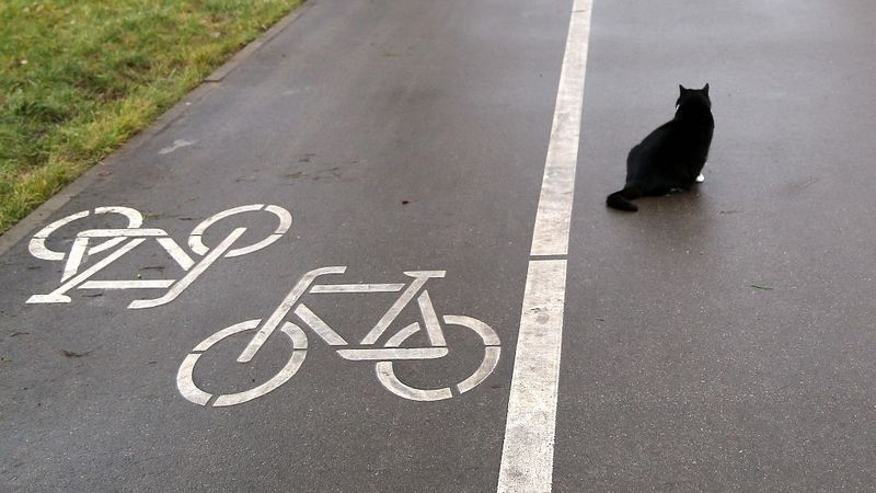 Velomaršrutu izveidei uz Piņķiem, Ulbroku un Ķekavu plāno piesaistīt 21,2 miljonus eiro