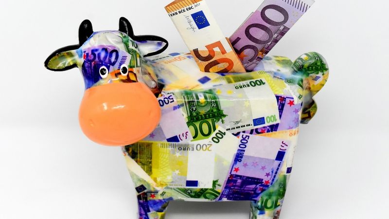 Capitalia pūļa finansējuma platforma palīdzējusi septiņiem Latvijas uzņēmumiem