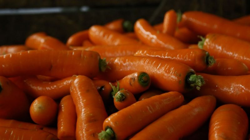 Uz dārzeņkopjiem gulsies vislielākais slogs