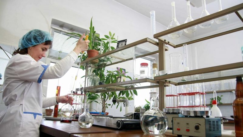 Ilgezeem šogad plāno piedāvāt vairākus jaunus produktus