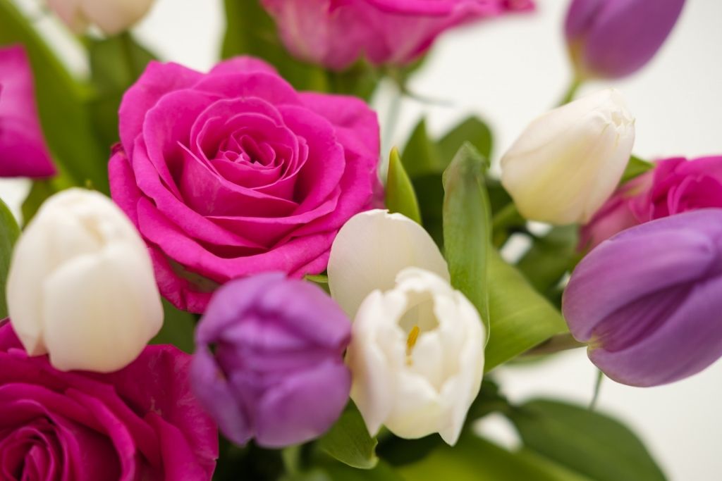 Foto: pixabay.com