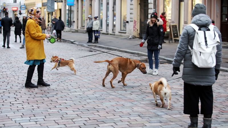 Blaumaņa ielu atvēlēs gājējiem un velobraucējiem