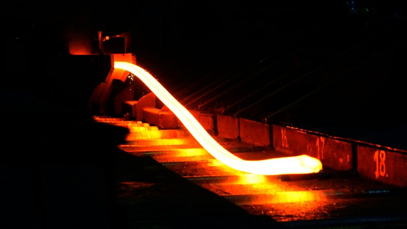 Vilks: redzēsim, ka Liepājas metalurga akcionāri vēl mēģinās iesaistīties caur ofšoriem
