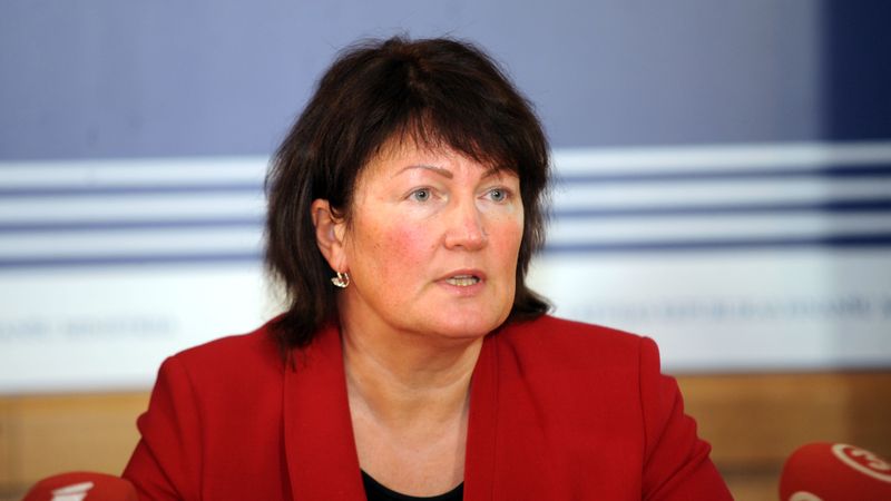 VID vadītāja: Pērn nodokļu plāns pildījies ļoti labi