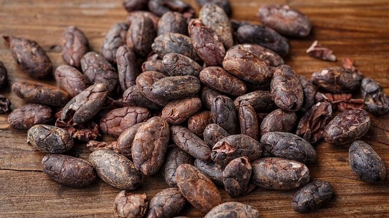 Orkla Latvija uzsāk pāreju uz atbildīgi iegūta kakao izmantošanu
