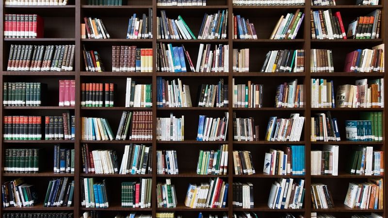 Cer mainīt doktoru skaitu: divi no trim līdz grādam netiek