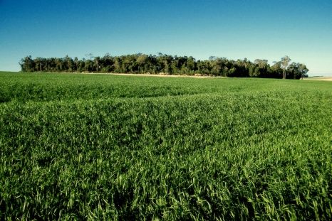 SVF iesaka Latvijai palielināt īpašumu kadastrālās vērtības, pielīdzinot tirgus cenai
